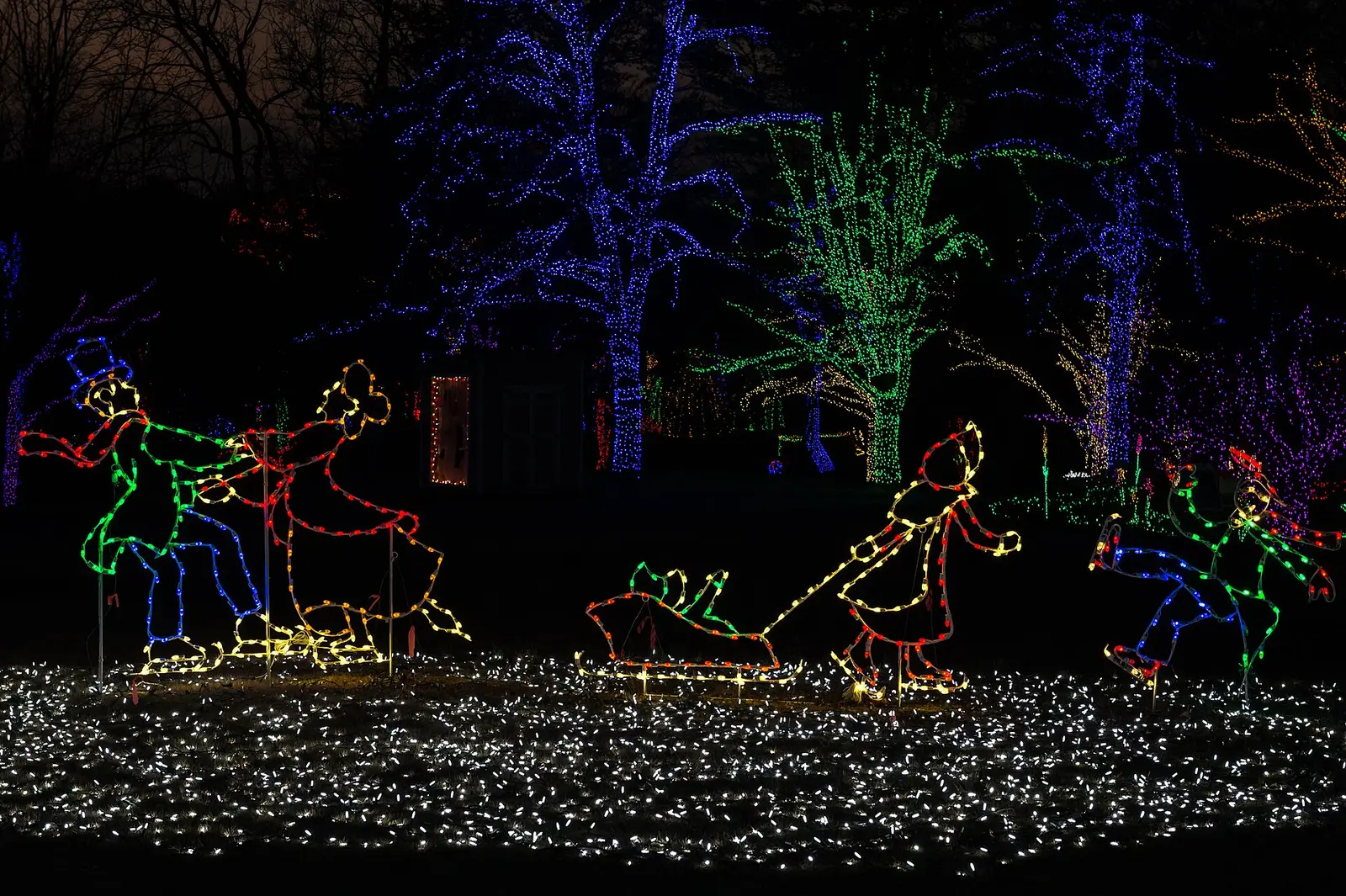 Lighted skaters and a sled under trees wrapped in lights on the Winter Walk of Lights at Meadowlark Botanical Gardens in Vienna.